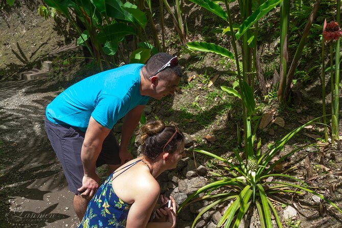 Couples Private St. Lucia Highlights Tour - Toraille Waterfall: Bathe in the Natural Pool