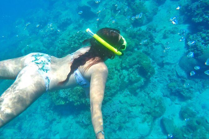 Dash and Splash Snorkel Adventure St Lucia - Pigeon Island passing: a quick scenic breather