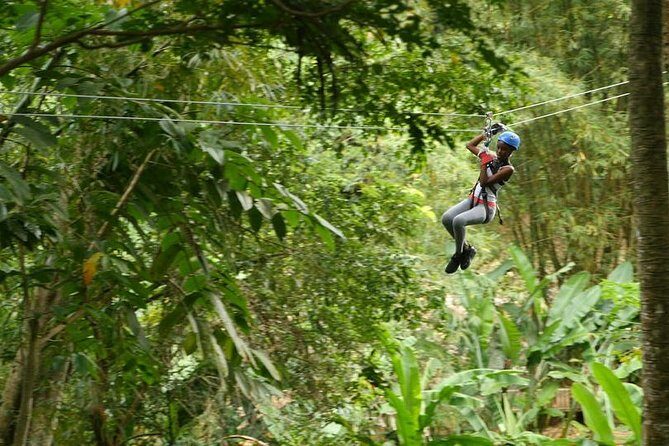 Day of Adventure - Zipline and Hike or Bike - Key things I’d zero in on before you go