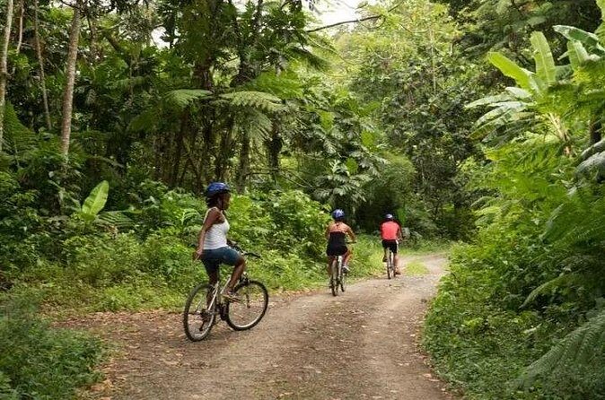 Day of Adventure - Zipline and Hike or Bike - Drinks, Guides, and the Small-Group Advantage