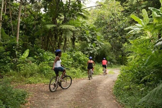 Day of Adventure - Zipline and Hike or Bike - Price and Value: Is $126.93 Worth It?