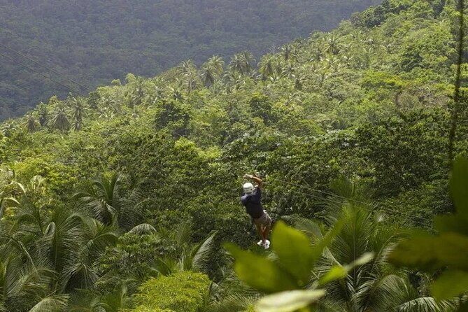 Drive and Fly - Buggy and Zipline - Drive and Fly in Rodney Bay: a fun split between land and air