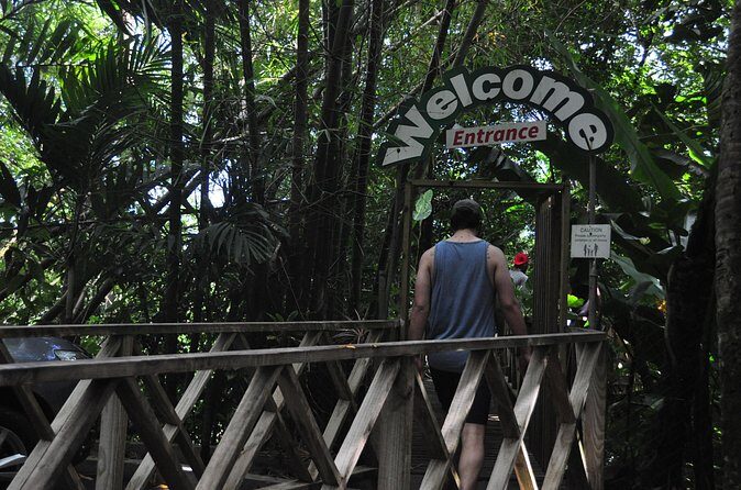Drive and Fly - Buggy and Zipline - Beverages, included admission, and the real $225 value