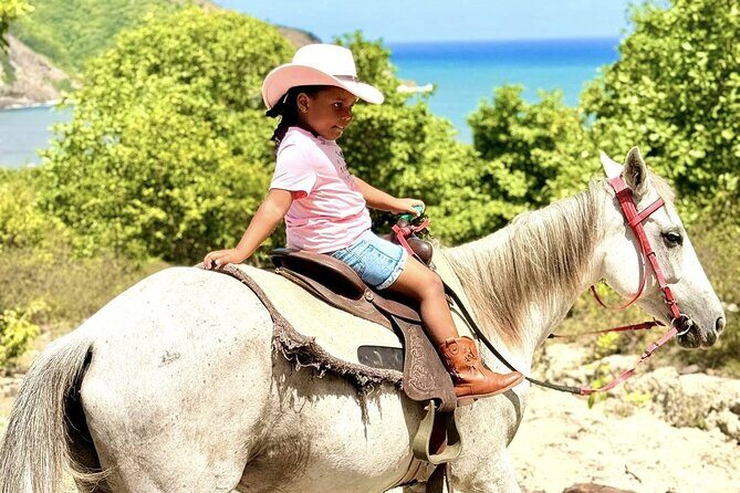 East Coast Horseback Riding & Waterfall Excursion - East Coast Horseback + Dennery Falls: what you’re really signing up for