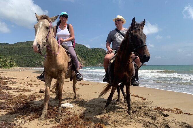 East Coast Horseback Riding, Waterfall & Soufriere Private Tour - Stop 1: Fond d’Or Bay Horseback Ride (Mangroves, History, and Beach)