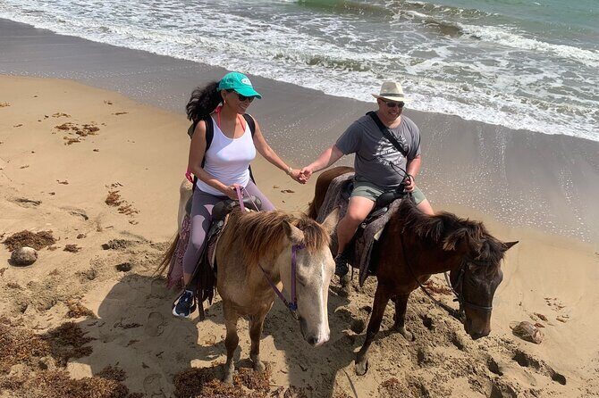 East Coast Horseback Riding, Waterfall & Soufriere Private Tour - Price and What You’re Really Getting at $240 per Person
