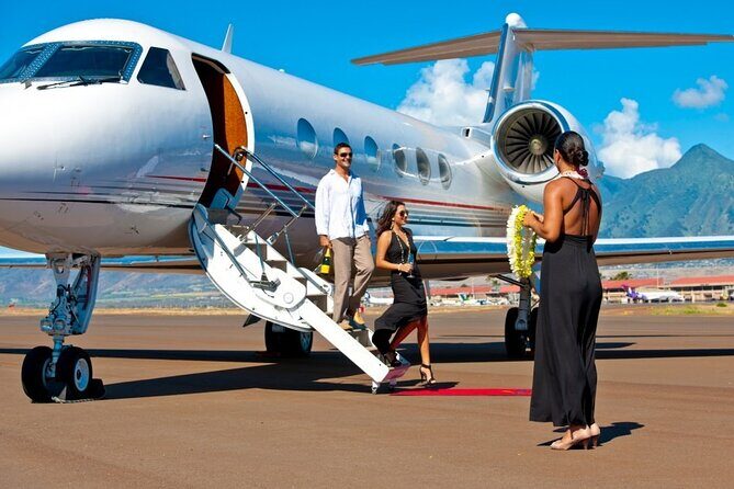 Fast Track On Arrival at St Lucia Airport & Round Trip Transfer - Timing: how long the whole process usually takes