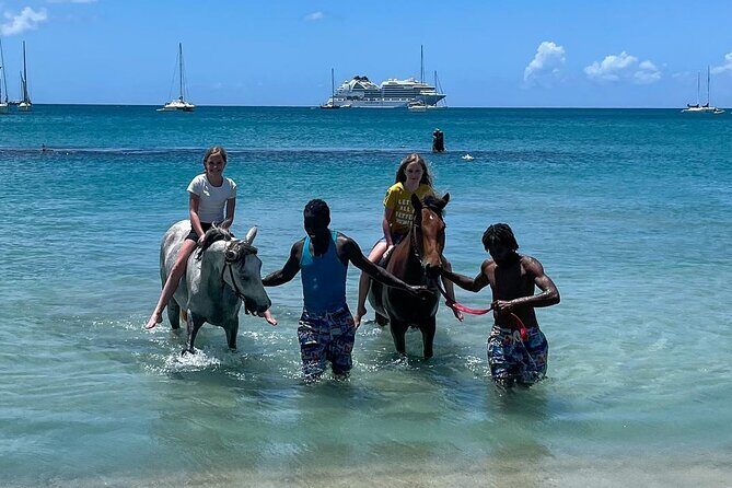 Gros Islet Village Horseback Riding run with Dore's riding Stable - Cap Estate meeting point: how the ride gets rolling