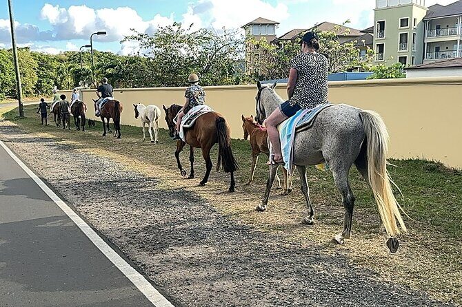 Gros Islet Village Horseback Riding run with Dore's riding Stable - The sea swim with horses: what to expect, what to prepare for