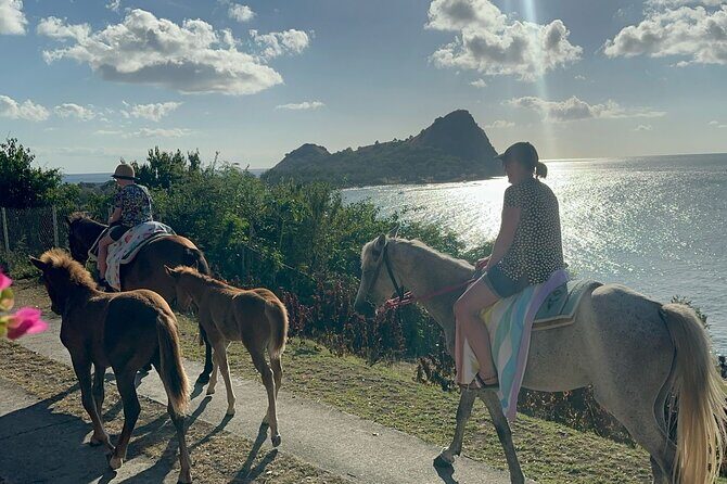 Gros Islet Village Horseback Riding run with Dore's riding Stable - The ride through Cap Estate villas and toward Pigeon Pointe Beach