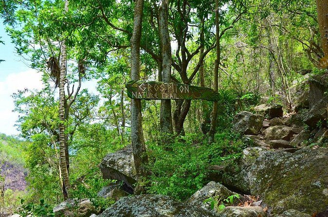 Gros Piton Hike St Lucia - What You’ll Do With Your Time Up There