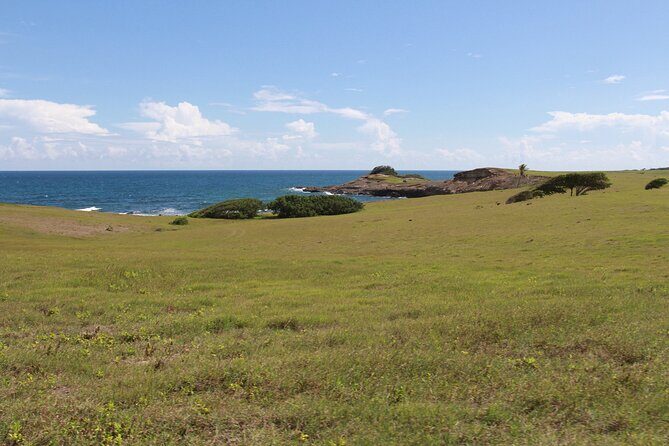 Horseback Riding Adventure Tour in St. Lucia - How much you’re paying and what you actually get