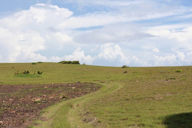 Horseback Riding Adventure Tour in St. Lucia - Who this horseback adventure is best for
