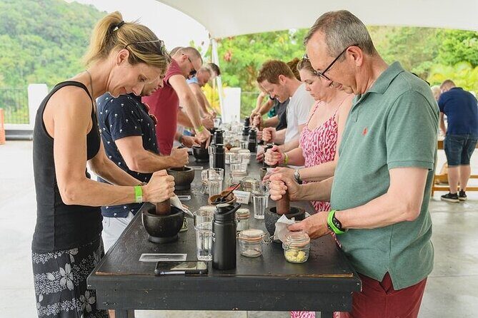 Hotel Chocolat Bean to Bar Experience in St. Lucia - Practical tips to get the most from the 2-hour format