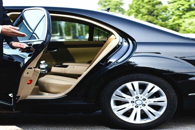International Airport VIP Service(Expedited Arrival)& Free Transfer - No waiting - Immigration and customs, but with less backtracking
