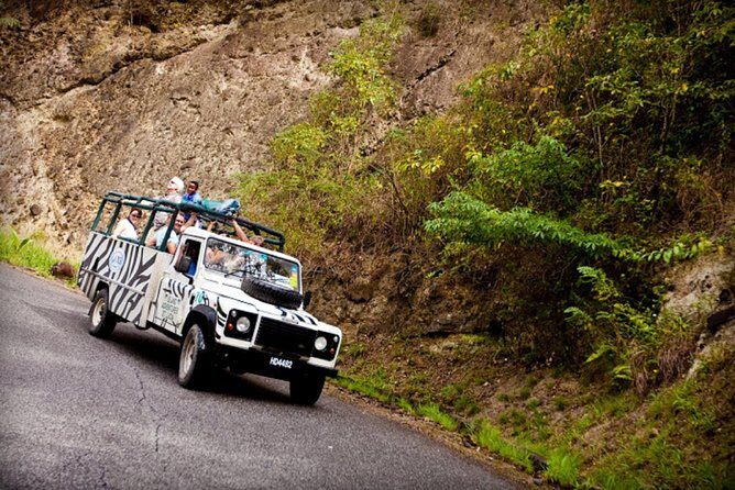 Jeep & Zip Safari St. Lucia From Castries - Key Highlights You’ll Care About