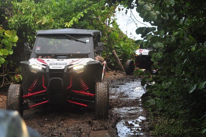 Northern Sights - Buggy in the North - Key highlights at a glance
