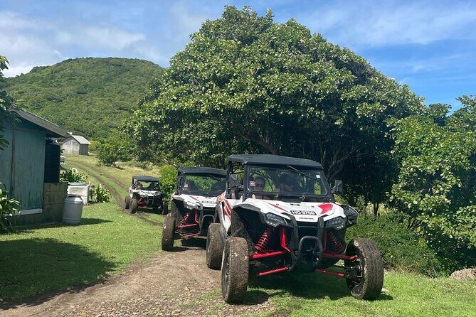 Northern Sights - Buggy in the North - Gros Islet in the Mix: Northern Countryside Energy