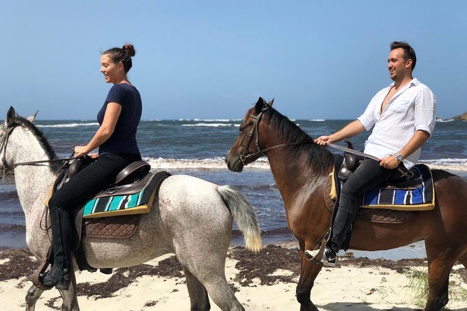 Private Beach Picnic Horseback Ride with Sandy Hoofs St. Lucia - Getting started: stables, orientation, and matching (including guide Jordy)