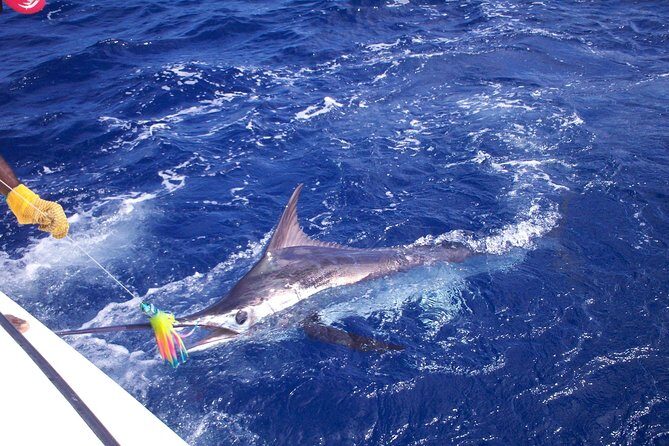 Private Fishing in St Lucia Charters - Key Things to Know Before You Go