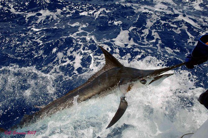 Private Fishing in St Lucia Charters - Onboard Gear and Comfort: Shimano, Penn, Tackle, and Light Refuel