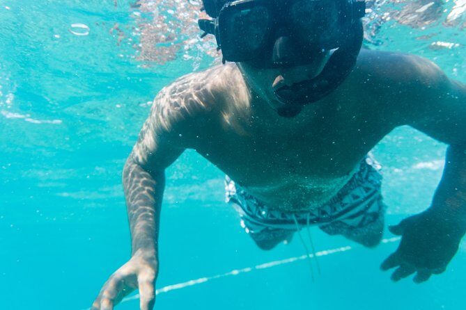 Private Half Day Catamaran Charter - Private Charter vs. Big Tour: Where You Actually Feel the Difference