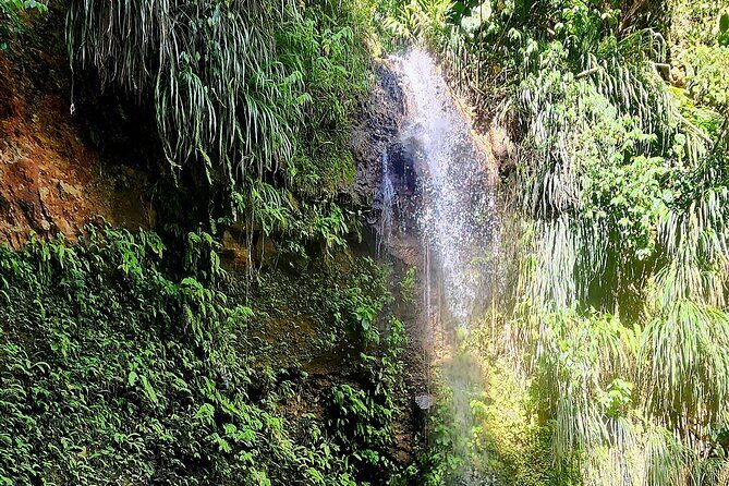 Private La Soufriere Drive-In Volcano Minibus Tour St Lucia - Weather and timing: the one constraint to plan around