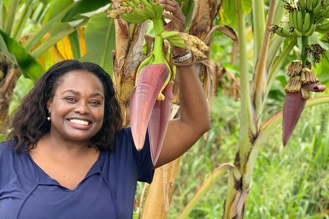 Private Soufriere Experience Tour - Who this tour suits best (and who should skip it)
