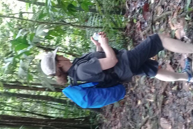 Rain forest and Bird watching - The cooling break: waterfall dip or Marigot Bay swim