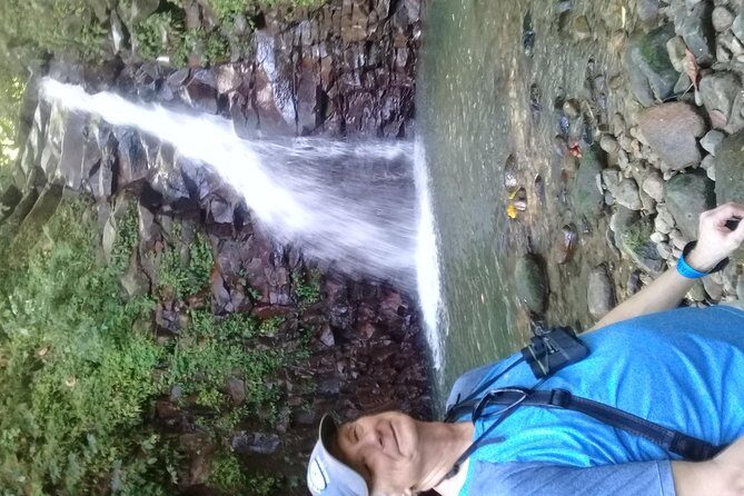Rain forest and Bird watching - East-coast stops: banana, rum, and local shopping without feeling rushed