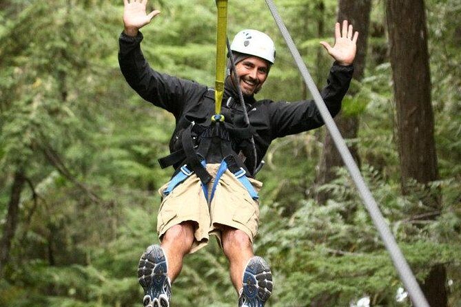 Rainforest Canopy Adventure from Vieux Fort or North Island, St Lucia - Key Points to Know Before You Go