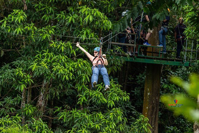 Rainforest Canopy Adventure from Vieux Fort or North Island, St Lucia - How Long Is This Really? A 4-Hour Plan That Stays Focused