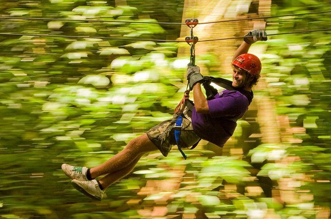 Rainforest Canopy Adventure from Vieux Fort or North Island, St Lucia - Price and Value: Is $105 Worth the Jump?