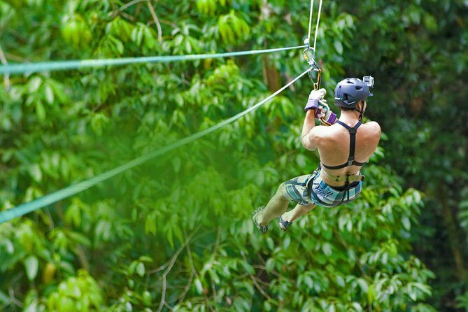 Rainforest Canopy Adventure from Vieux Fort or North Island, St Lucia - Who Should Book This Zipline Canopy Adventure?