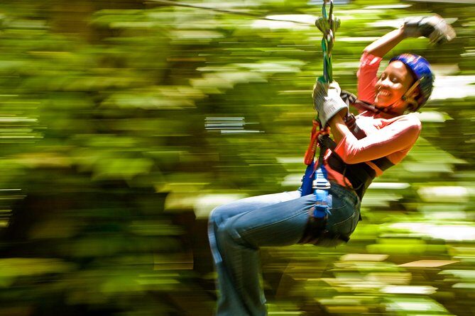 Rainforest Canopy Adventure from Vieux Fort or North Island, St Lucia - Meet the Guides: Why Their Local Background Can Matter