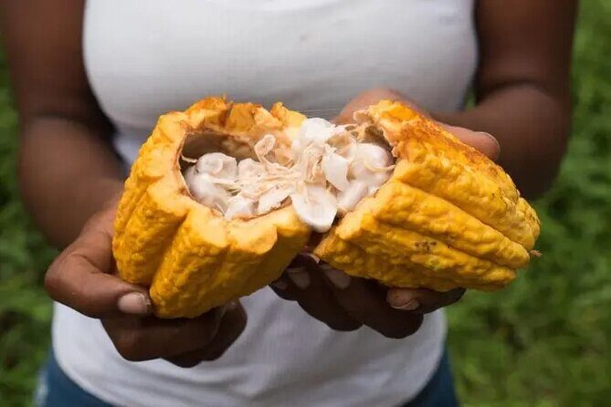 Rainforest Cycling Adventure in St. Lucia - What to wear and bring (so the ride stays fun)