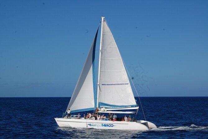 Rodney Bay to Soufriere Catamaran Transfer - Who should book this (and who should double-check the fit)
