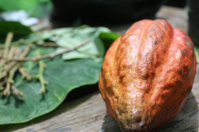 Rum & Chocolate Tasting Tour : Journey into Flavor - Key Things I Think You’ll Enjoy Most