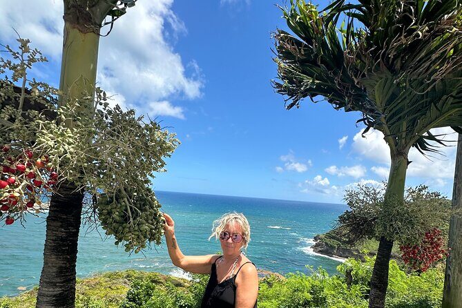Saint Lucia Beach Tour with Free Entry - The optional Pigeon Island National Park entry: when it’s worth paying
