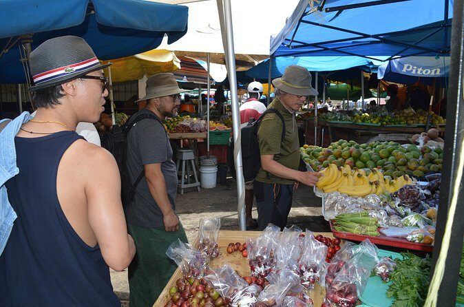 Shopping - St Lucia Got Talent Tour - Comfort, Vehicle Setup, and What to Expect On the Ride