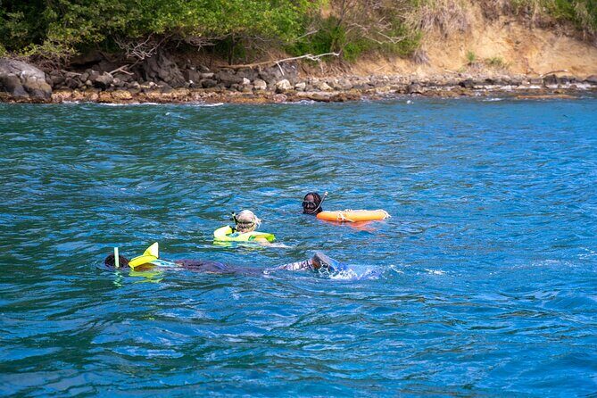 Snorkeling at Pigeon Island - Marine life: what you can hope to see, and what affects visibility