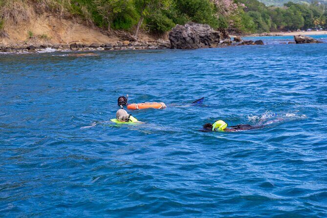 Snorkeling at Pigeon Island - Who this private tour is best for