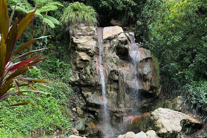 Soufriere Catamaran Excursion & Sapphire Falls Hike - Key things I’d circle before you go