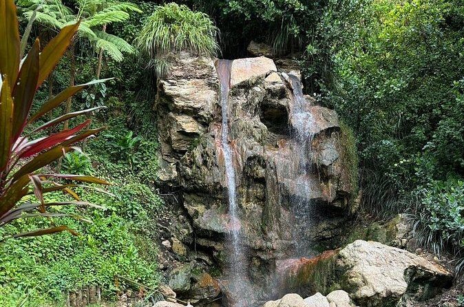 Soufriere Catamaran Excursion & Sapphire Falls Hike - Sapphire Falls hike: stamina, footing, and the mud-bath moment
