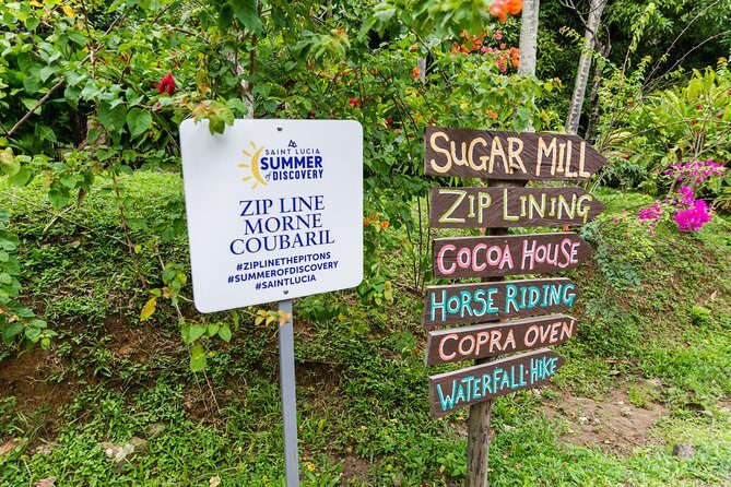 Soufriere Excursion with Rum & Chocolate Tasting - West Coast Swim and Snorkel: Wildlife Watching Without the Hard Work
