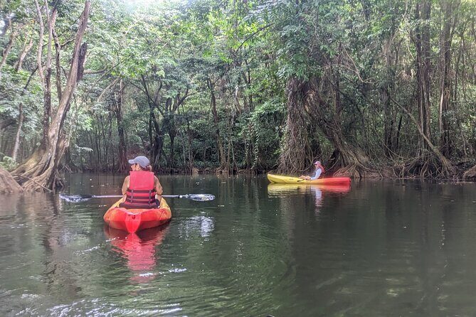 Splash Adventure Jeep and Kayak Safari - The Jeep Ride: Marigot Bay Pirates Route to Roseau Valley