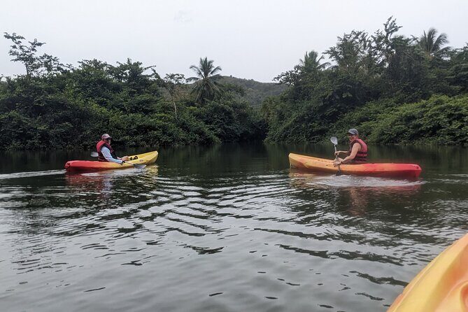 Splash Adventure Jeep and Kayak Safari - The Mid-Trip Break: Coconuts, Water, and Rum Punch