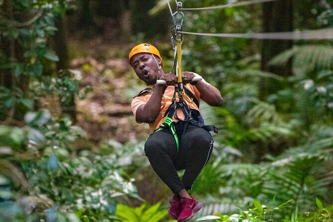 St. Lucia 3 in 1 Combo: Aerial Tram, Rainforest Trail & Zipline - Key highlights