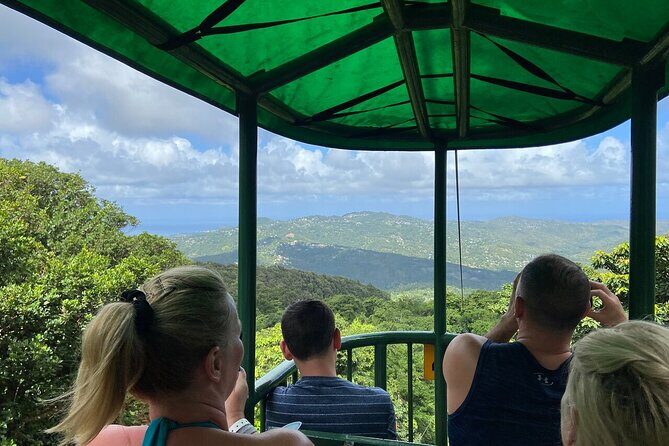 St. Lucia 3 in 1 Combo: Aerial Tram, Rainforest Trail & Zipline - Rainforest Trail With a Nature Interpreter: What You’ll Actually Notice