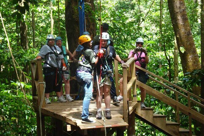 St. Lucia 3 in 1 Combo: Aerial Tram, Rainforest Trail & Zipline - Price and Value for $107: Three Activities in One